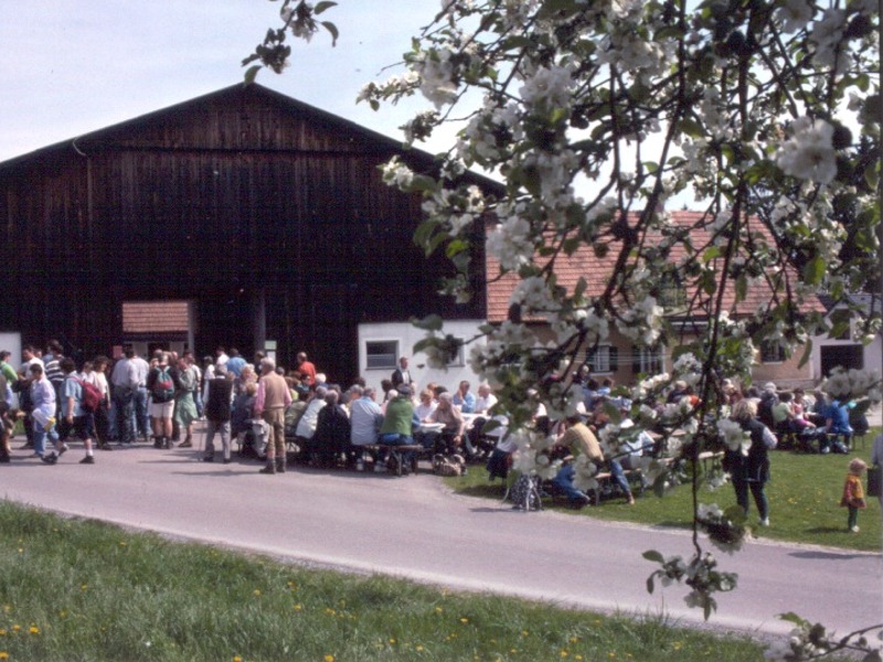 Die traditionelle Kirschblütenwanderung Marktgemeinde Hitzendorf